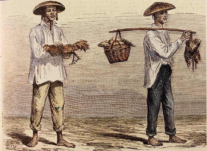 Journey of the Barong Tagalog, Addendum Part 13.4: 19th Century Spanish Artist Illustrations of Life in the Philippines