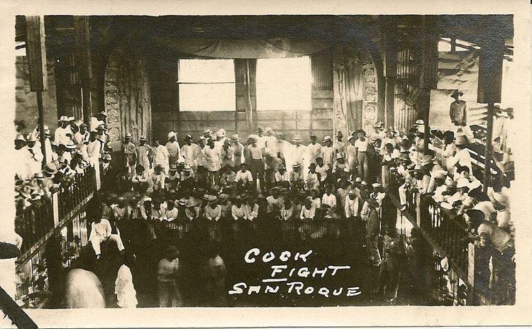 Journey of the Barong Tagalog, Addendum Part 7: Early 20th Century Cockfighting in Pictures