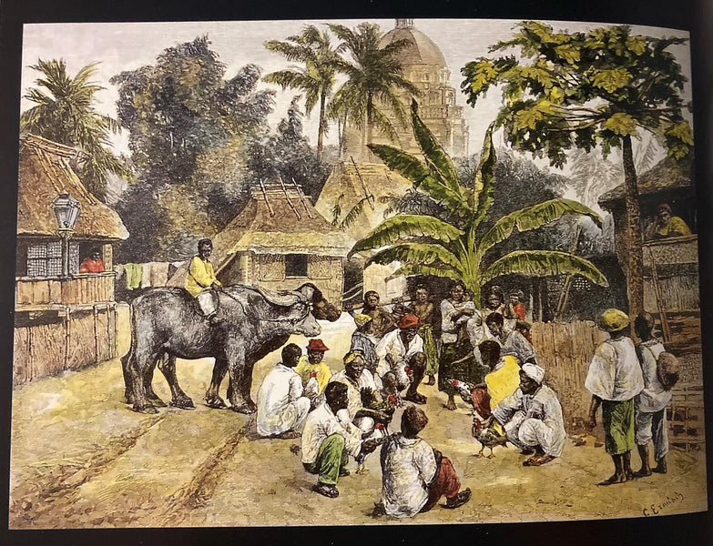 Journey of the Barong Tagalog, Addendum Part 15.5: 19th Century German Artist Illustrations of Life in the Philippines