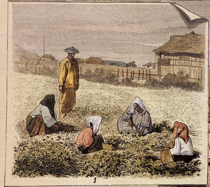 Journey of the Barong Tagalog, Addendum Part 13.6: 19th Century Spanish Artist Illustrations of Life in the Philippines