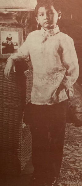 Journey of the Barong Tagalog, 20th Century Philippines Part 36: Patis Tesoro